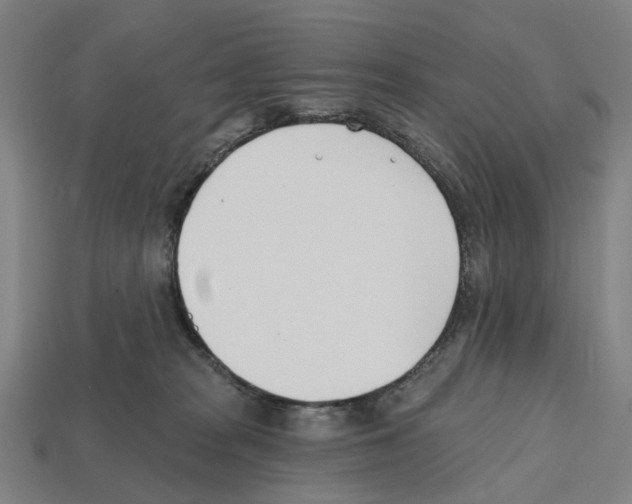 X0000112540277200909281105