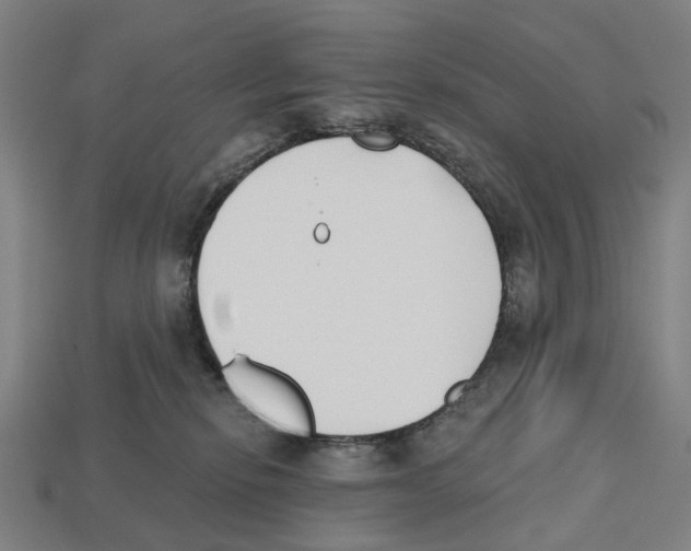 X0000112540278200909281105