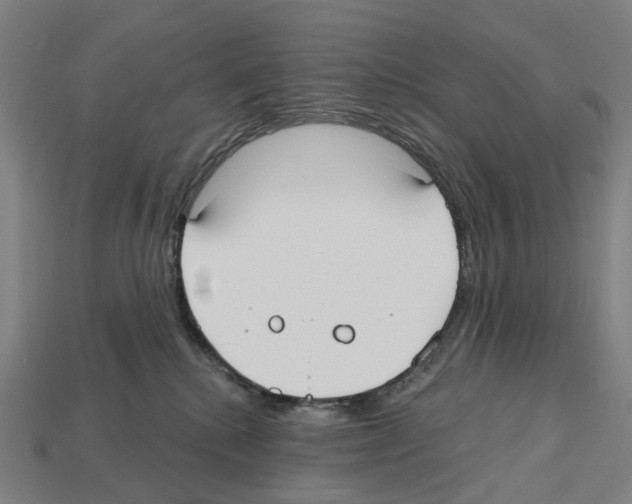X0000112540280200909281105