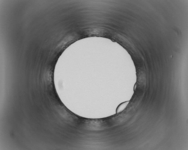 X0000112540282200909281105