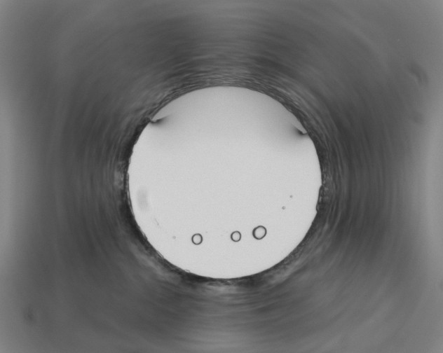 X0000112540284200909281106