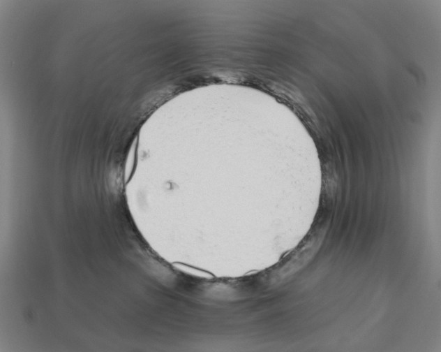 X0000112540285200909281106
