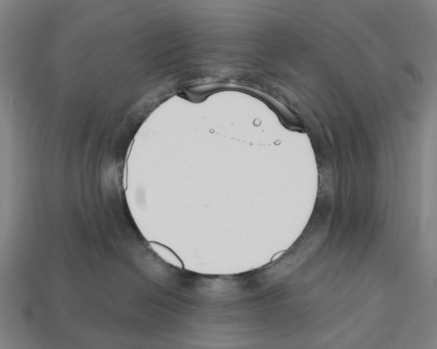 X0000112540286200909281106
