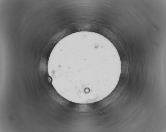 X0000112540287200909281106