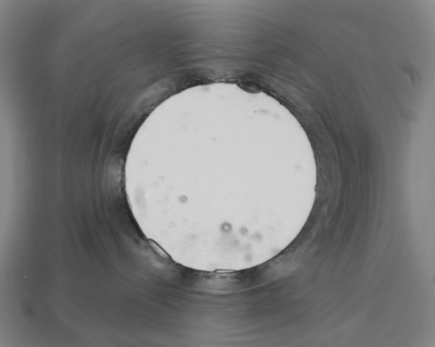 X0000112540288200909281106