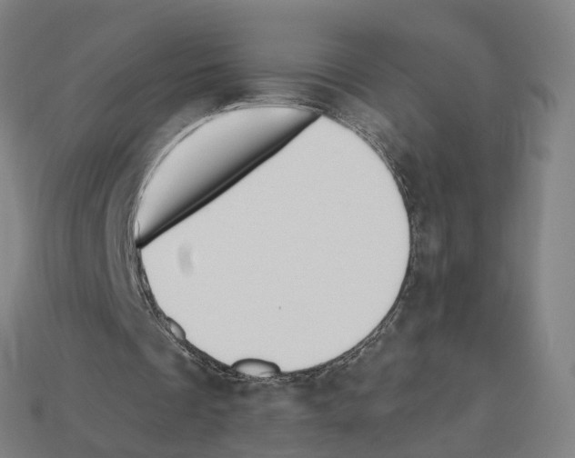 X0000112540289200909281105