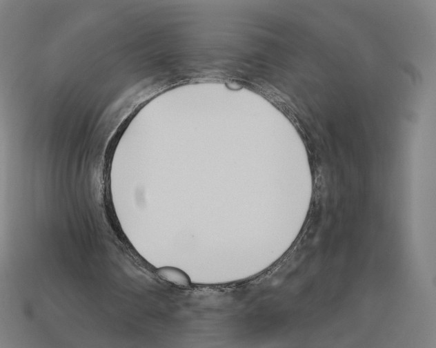 X0000112540290200909281105