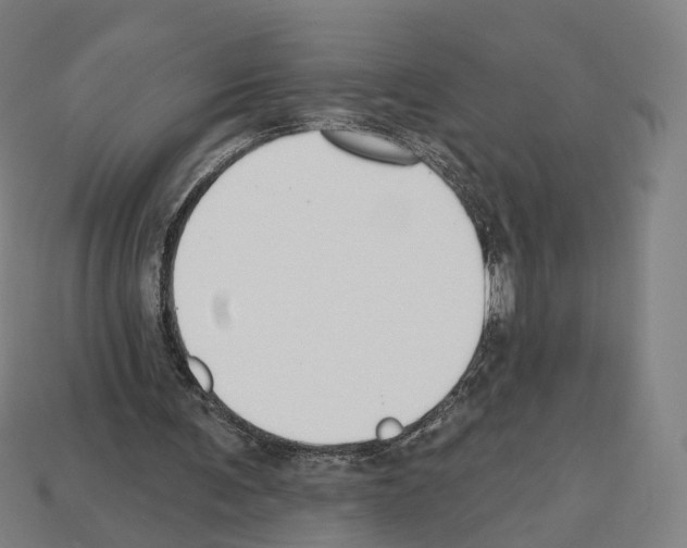 X0000112540291200909281105