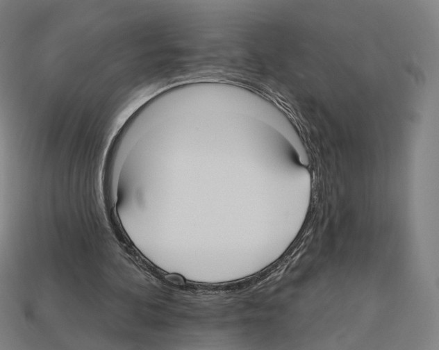 X0000112540292200909281105