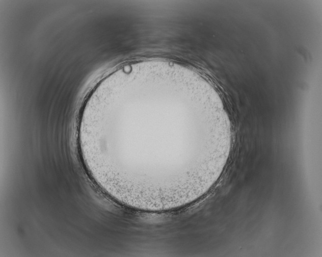 X0000112540293200909281105