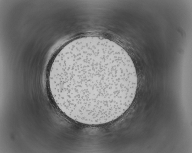 X0000112540294200909281105