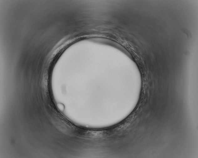 X0000112540295200909281105