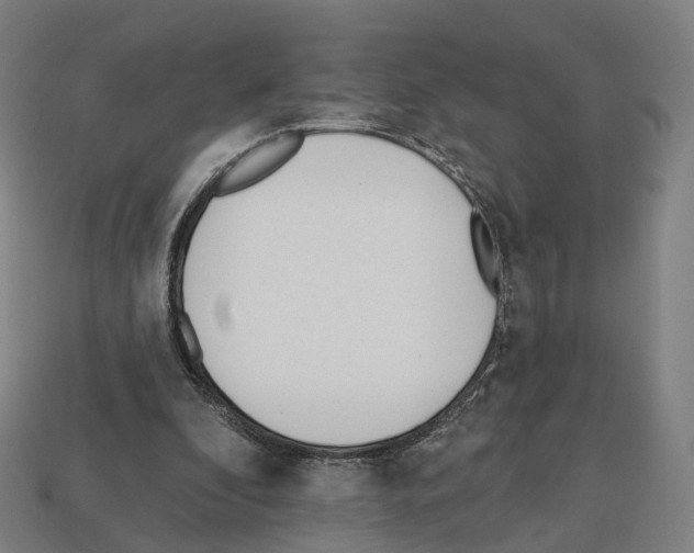 X0000112540296200909281105
