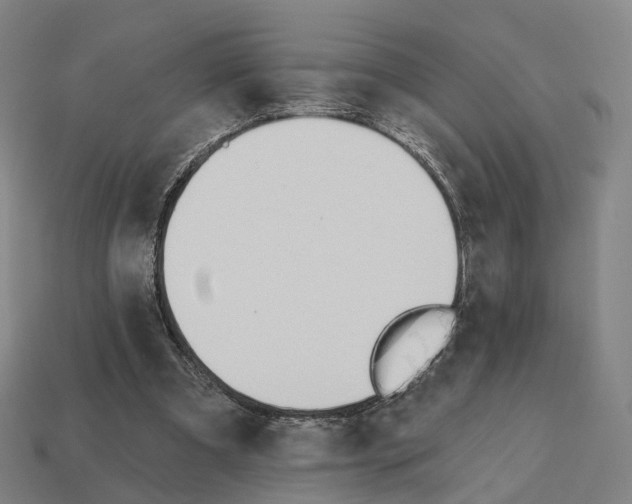 X0000112540297200909281105