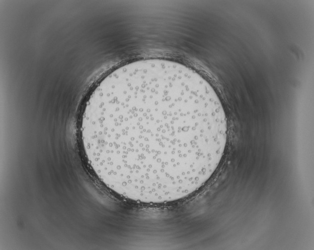 X0000112540298200909281105