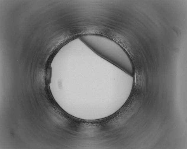 X0000112540300200909281105