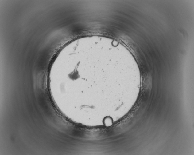 X0000112540301200909281105