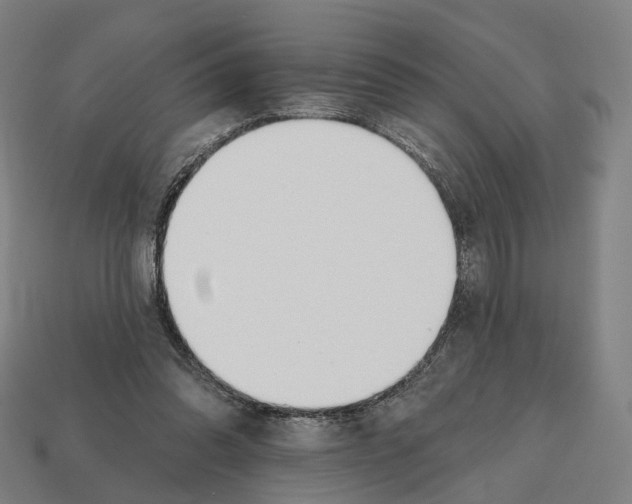 X0000112540302200909281105