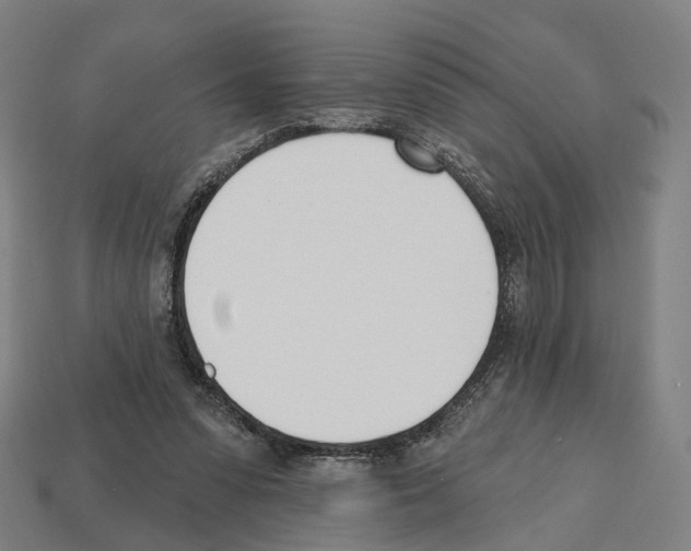 X0000112540303200909281105