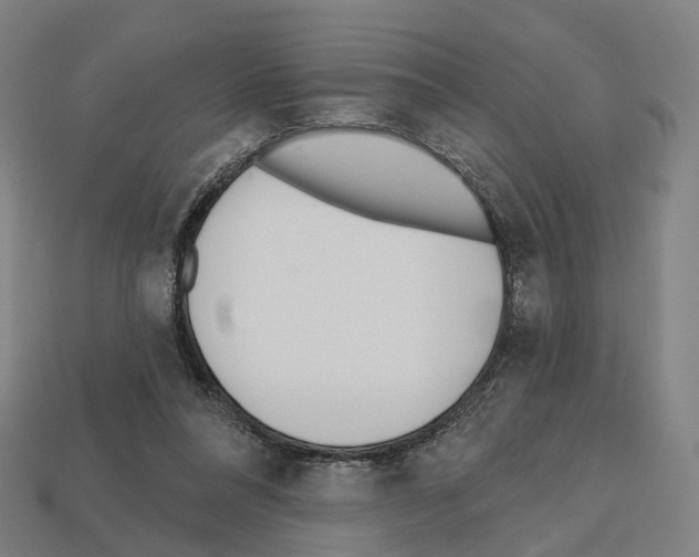 X0000112540304200909281105