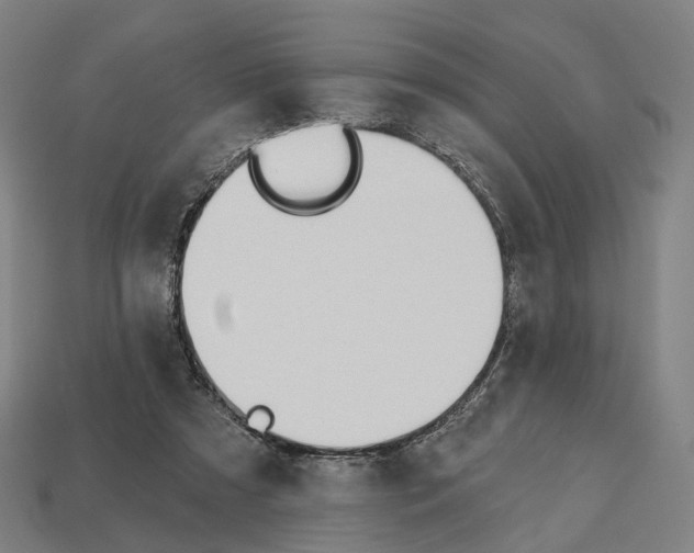 X0000112540305200909281105
