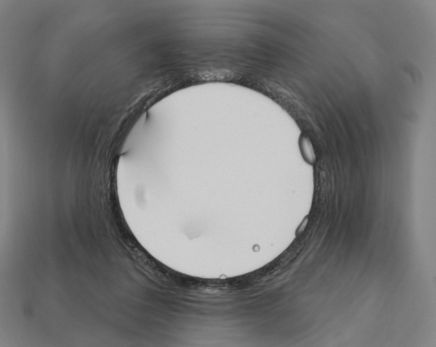 X0000112540308200909281105