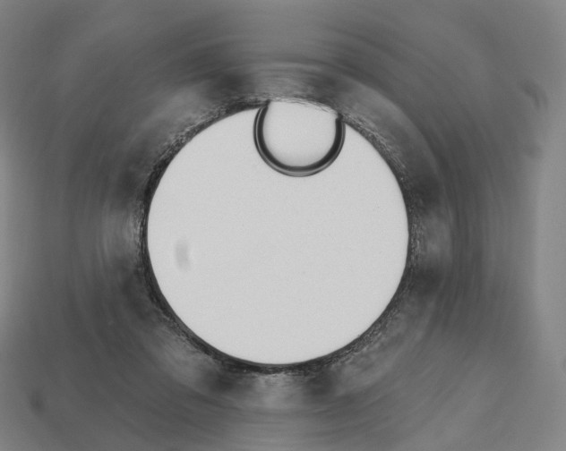 X0000112540309200909281105