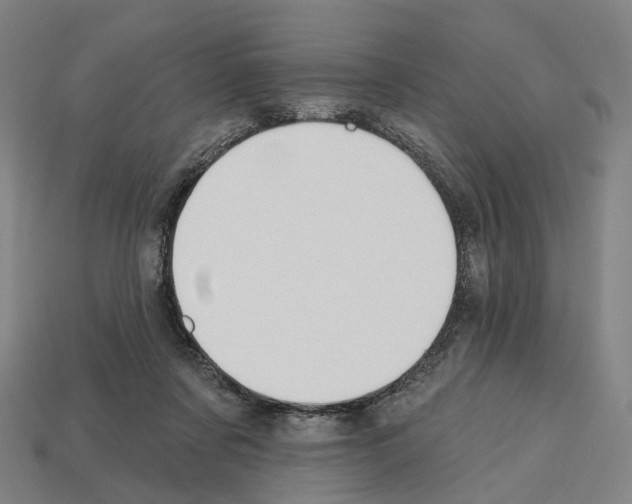 X0000112540311200909281105