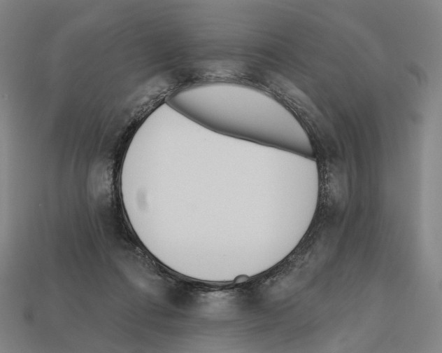 X0000112540312200909281105