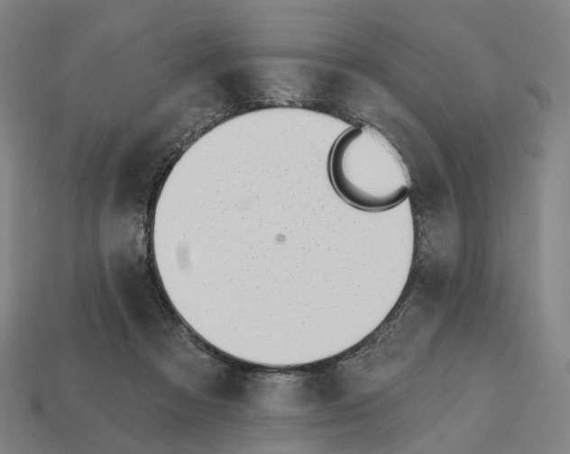 X0000112540313200909281105