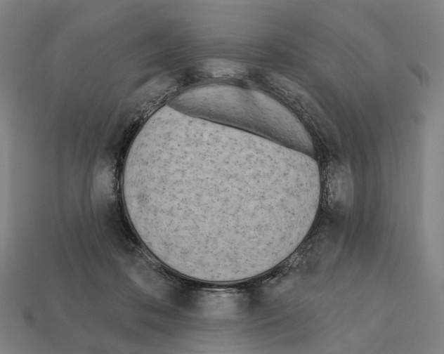 X0000112540316200909281105