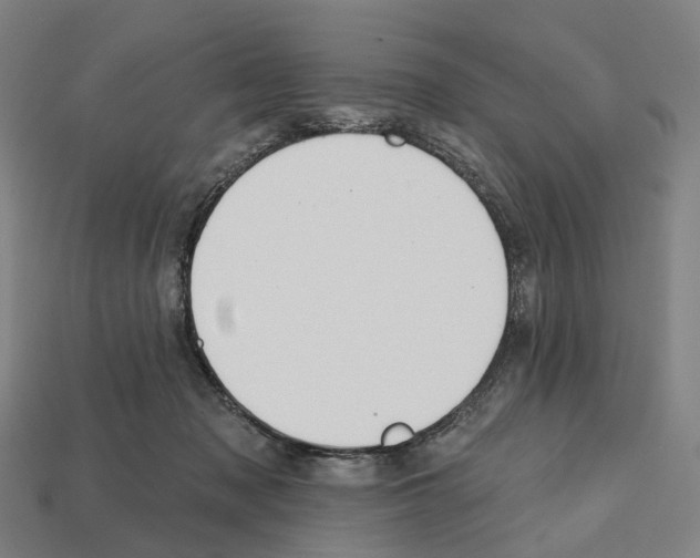 X0000112540317200909281105