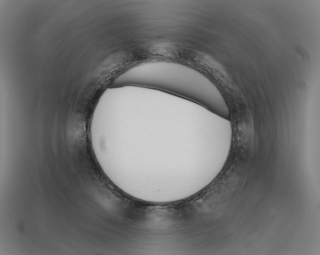 X0000112540320200909281105