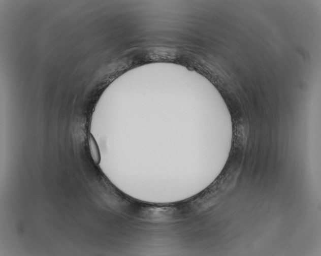 X0000112540323200909281105