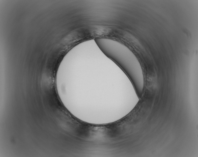 X0000112540324200909281105