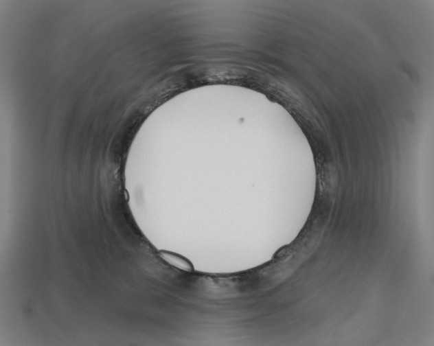 X0000112540327200909281104