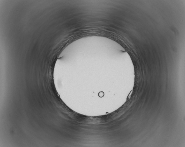 X0000112540328200909281104