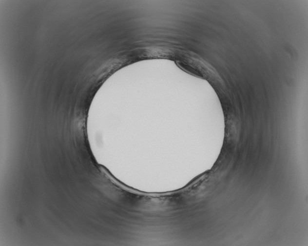 X0000112540329200909281104