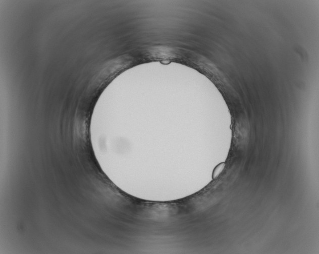 X0000112540330200909281104