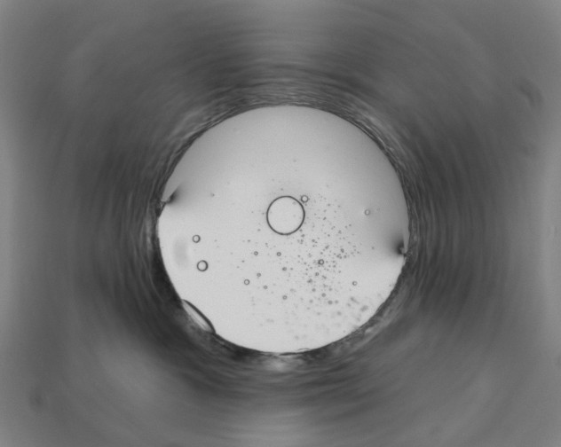 X0000112540333200909281104