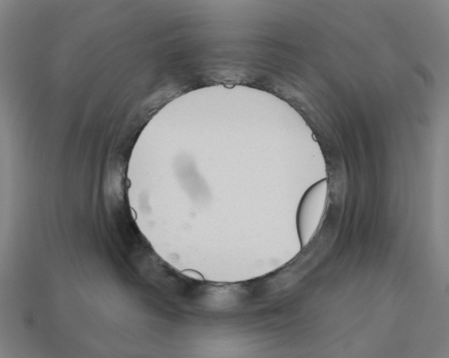 X0000112540334200909281104