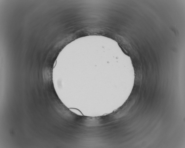 X0000112540335200909281104
