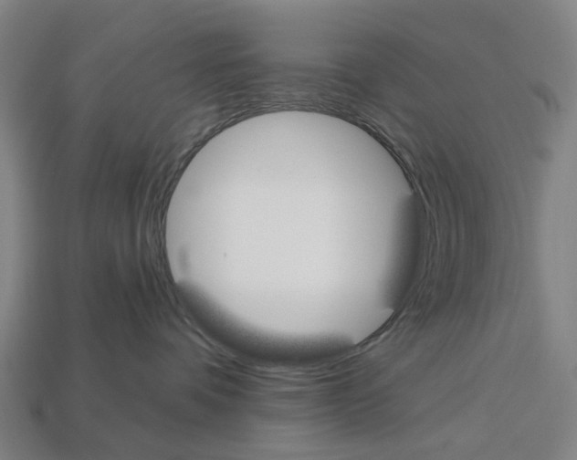 X0000112540336200909281104