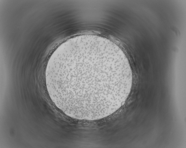 X0000112540337200909281104