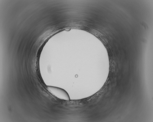 X0000112540338200909281104
