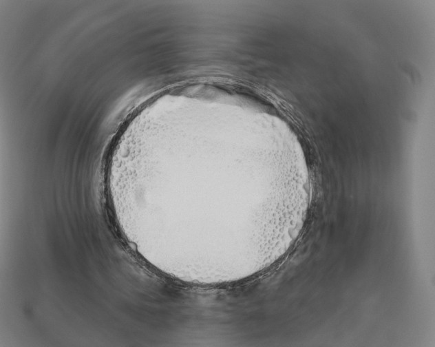 X0000112540339200909281104