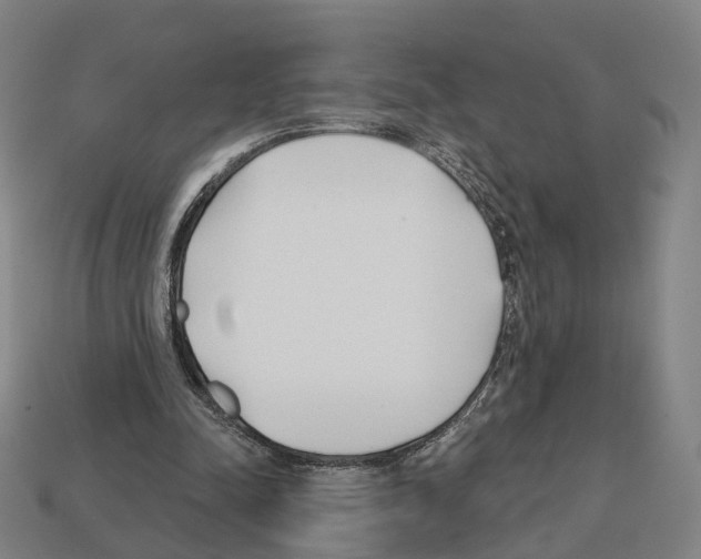 X0000112540342200909281104
