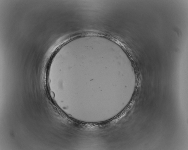X0000112540343200909281104