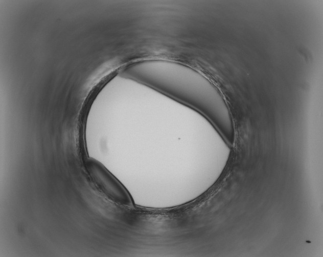 X0000112540344200909281104