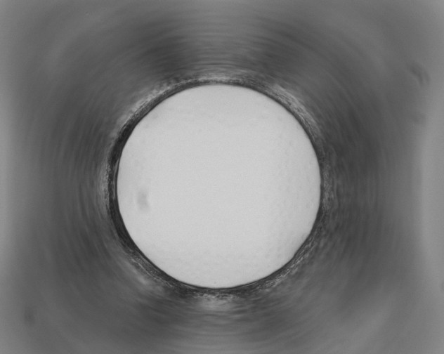X0000112540346200909281104